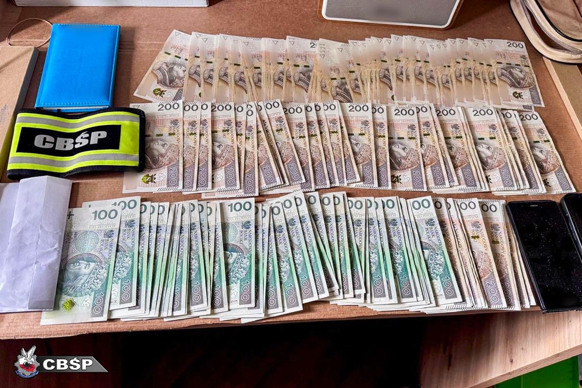 CBŚP rozbiło grupę produkującą nielegalne leki. Zabezpieczono pięć palet preparatów CBŚP rozbiło grupę produkującą nielegalne leki. Zabezpieczono pięć palet preparatów