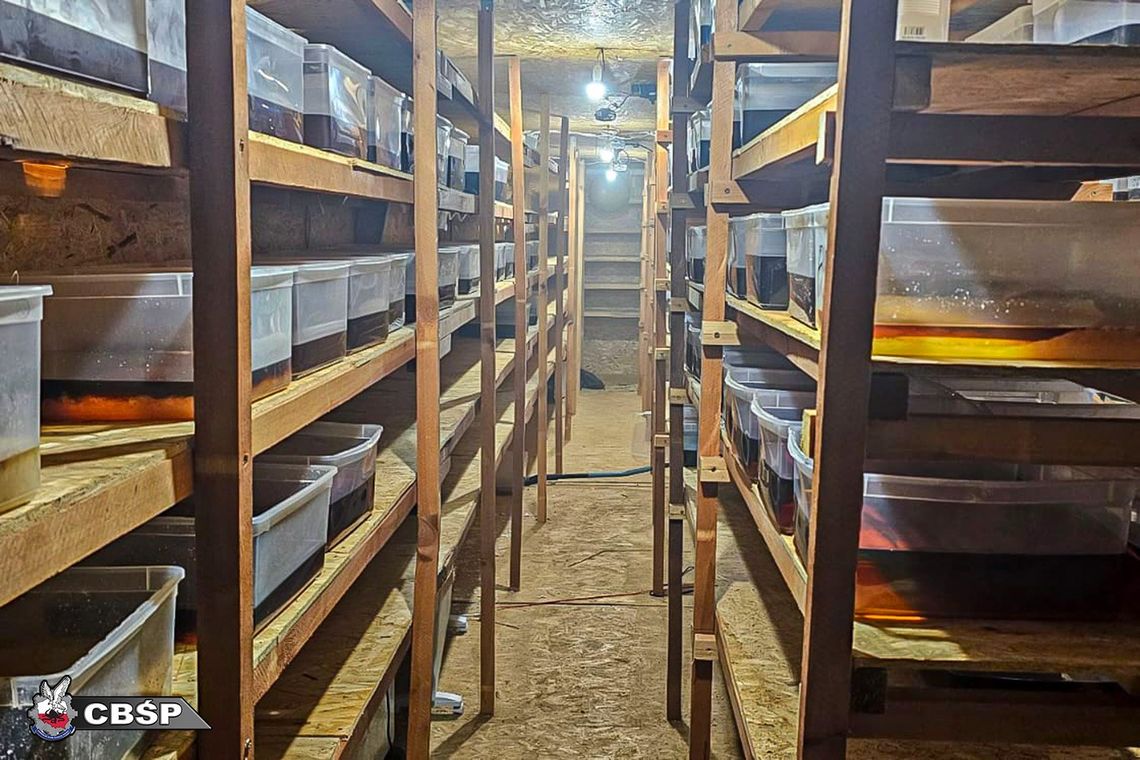 CBŚP zlikwidowało dwa laboratoria syntetycznych narkotyków. Przejęte ponad 2 tony klofedronu CBŚP zlikwidowało dwa laboratoria syntetycznych narkotyków. Przejęte ponad 2 tony klofedronu