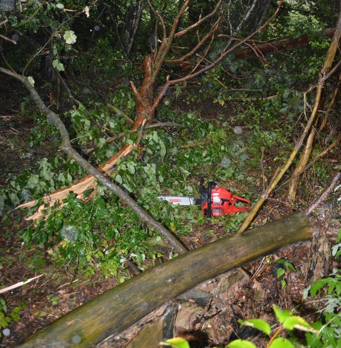 Chciał wyciąć drzewo uszkodzone przez burzę. Doszło do wypadku. Ranny w głowę mężczyzna zmarł w szpitalu