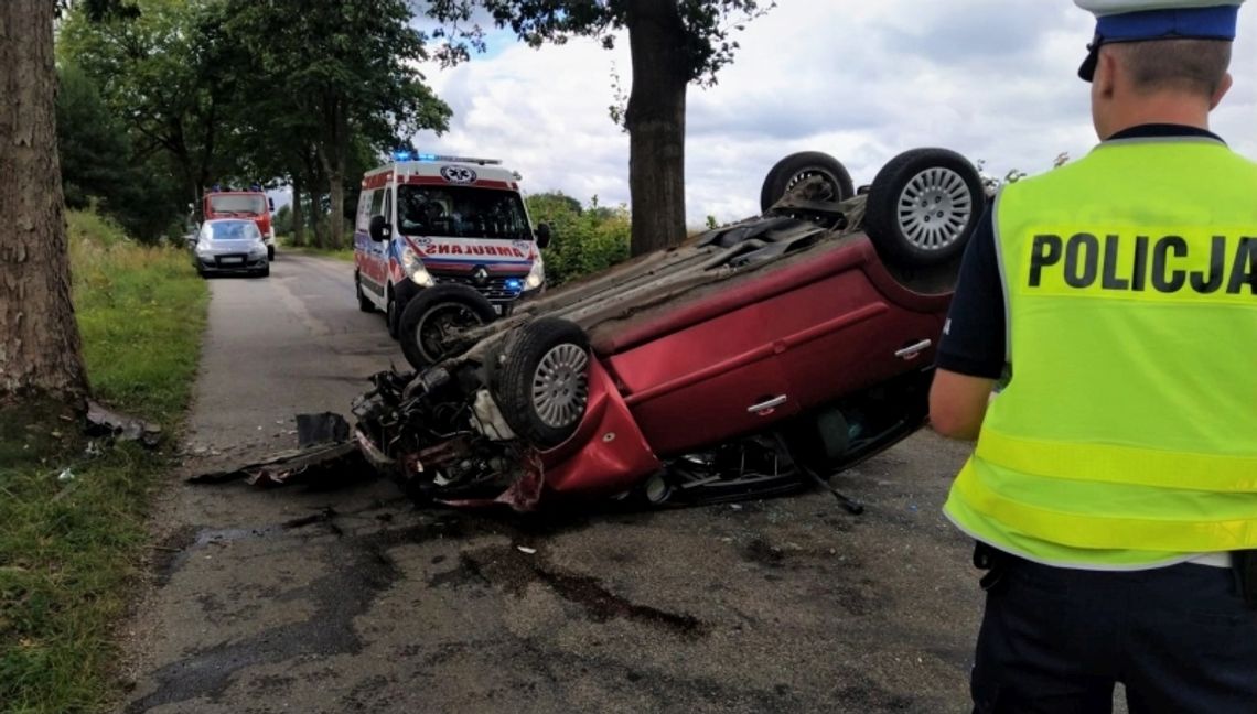 Chciał zrzucić pająka z szyby, stracił panowanie nad autem i dachował