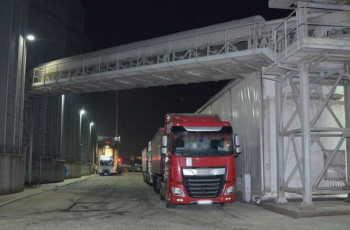 Chcieli podstępem zmieszać pszenicę z żywymi szkodnikami z czystym zbożem. 40 i 34-latek zatrzymani