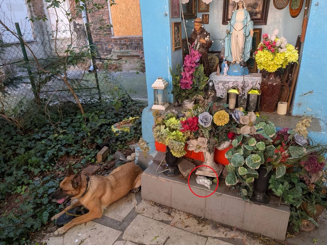 Chowali narkotyki pod kapliczką. Policjanci zatrzymali dilera i jego "czujkę" Chowali narkotyki pod kapliczką. Policjanci zatrzymali dilera i jego "czujkę"
