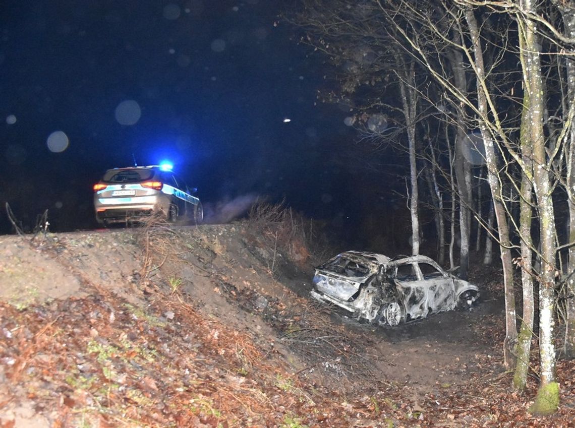 Cupra wypadła z drogi, po uderzeniu w drzewo auto spłonęło. Kierowca zginął w płomieniach