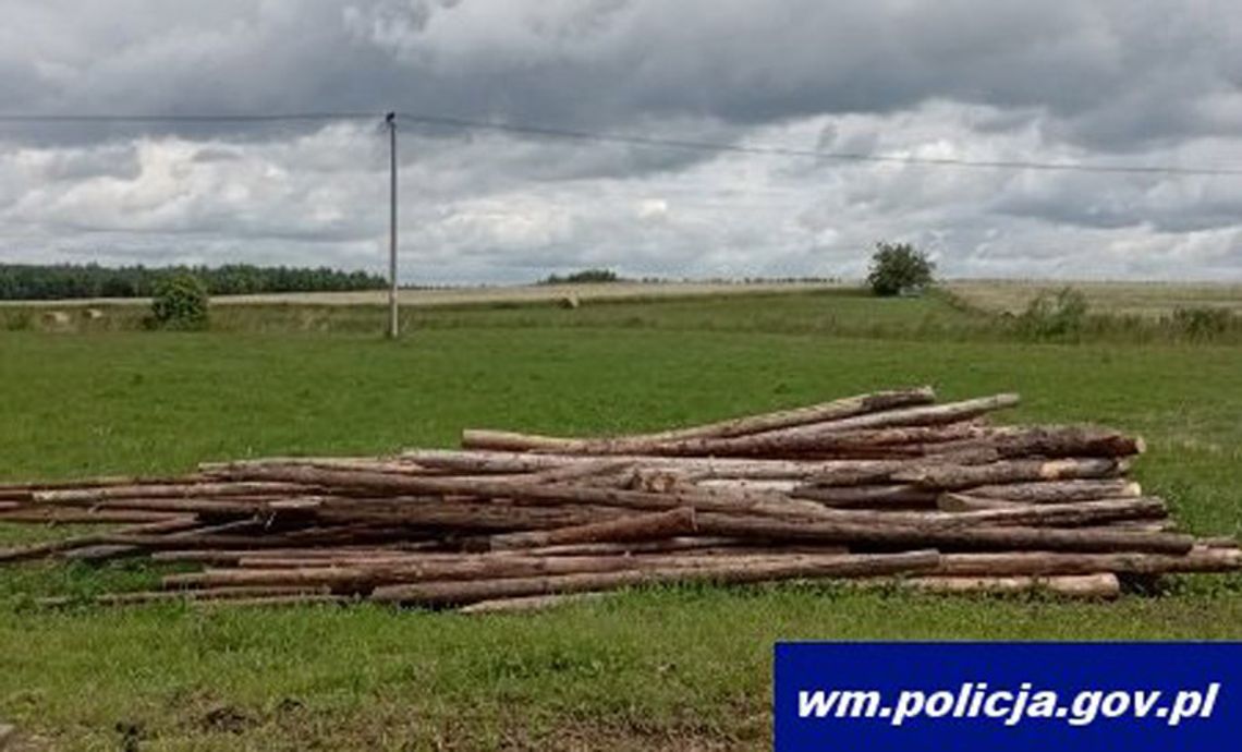 Czekał na koniec bitwy Grunwaldem, wtedy ruszył do akcji traktorem. Straty organizatora 6 tysięcy zł