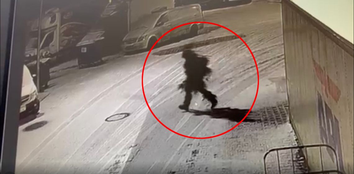 Człowiek choinka zaatakował hurtownię mięsną. Właściciel firmy wyznaczył nagrodę za "jego głowę". WIDEO Człowiek choinka zaatakował hurtownię mięsną. Właściciel firmy wyznaczył nagrodę za "jego głowę". WIDEO