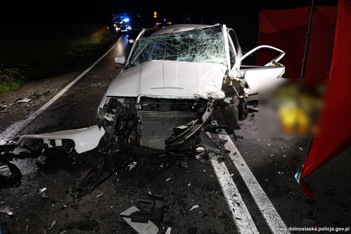 Czołowe zderzenie skody i audi na krajowej 94. Kierowca pierwszego z pojazdów zginął na miejscu Czołowe zderzenie skody i audi na krajowej 94. Kierowca pierwszego z pojazdów zginął na miejscu