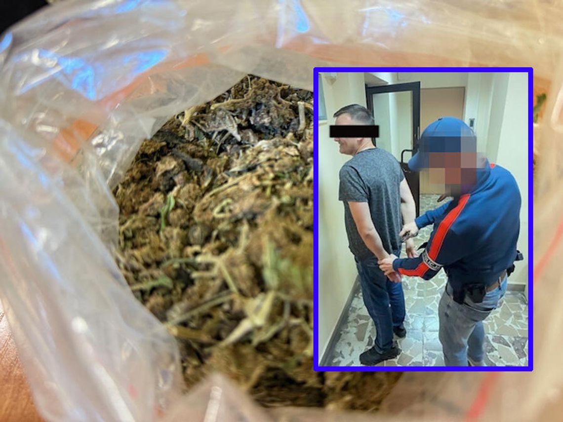 Cztery osoby zatrzymane za narkotyki po akcji kryminalnych. Najstarszy miał też uprawę