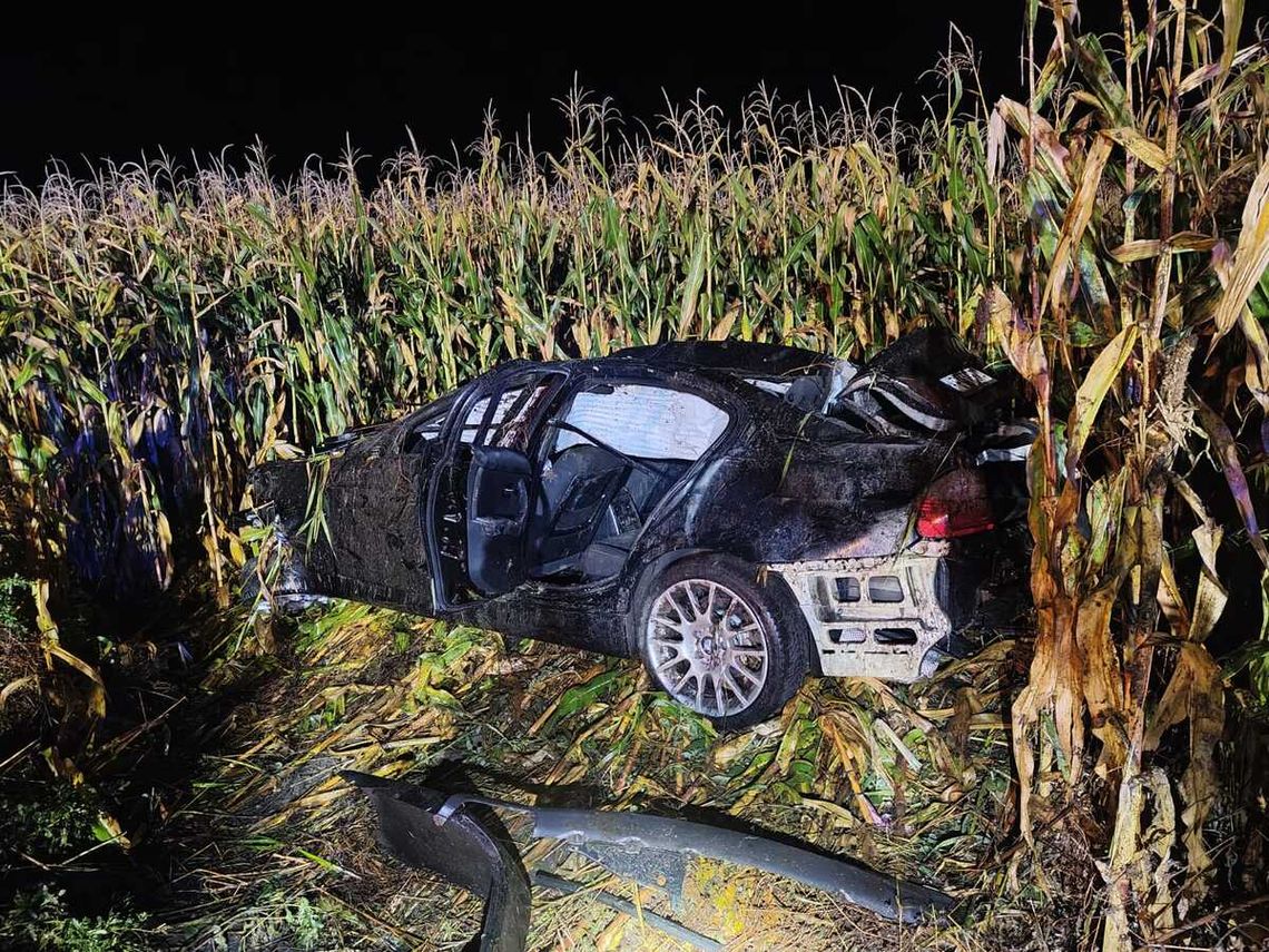 Dachowanie BMW po zderzeniu z łosiem. Jedna osoba nie żyje, trzy trafiły do szpitala