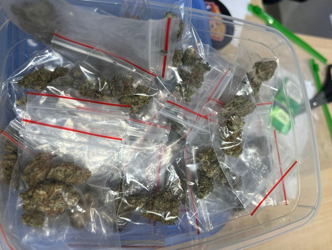 Diler spacerował nocą z kieszeniami pełnymi narkotyków. Zgubiło go nerwowe zachowanie