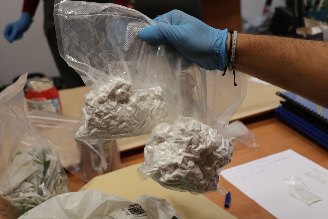 Diler "wypłynął" w sprawie narkotykowej. Miał 1,6 kilograma narkotyków i krzewy konopi Diler "wypłynął" w sprawie narkotykowej. Miał 1,6 kilograma narkotyków i krzewy konopi