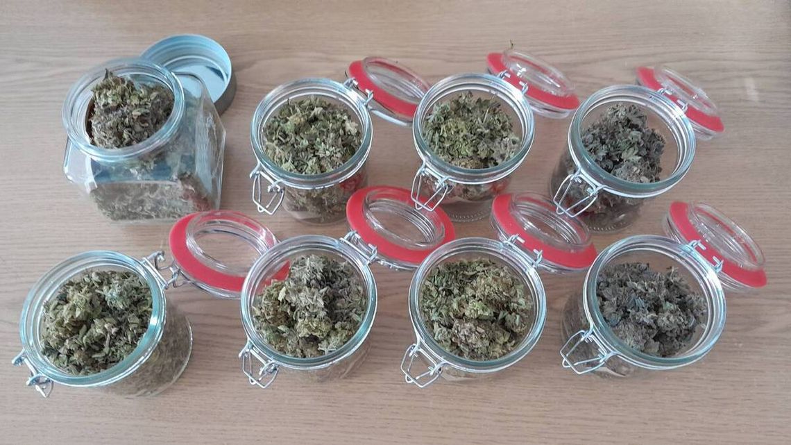 Dilerzy zatrzymani jeden za drugim. Policjanci znaleźli marihuanę w słoikach i inne narkotyki Dilerzy zatrzymani jeden za drugim. Policjanci znaleźli marihuanę w słoikach i inne narkotyki