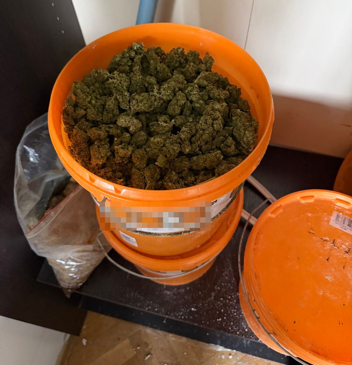 Dwaj 20-latkowie zatrzymani z 85 kilogramami narkotyków. Towar był wart ponad 5,5 miliona złotych Dwaj 20-latkowie zatrzymani z 85 kilogramami narkotyków. Towar był wart ponad 5,5 miliona złotych