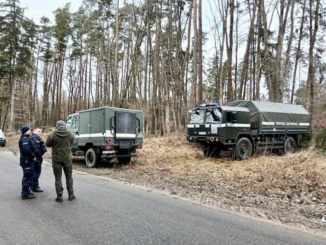 Dziki rozkopały ziemię w lesie. Po oględzinach leśnicy wezwali na miejsce policję i wojsko