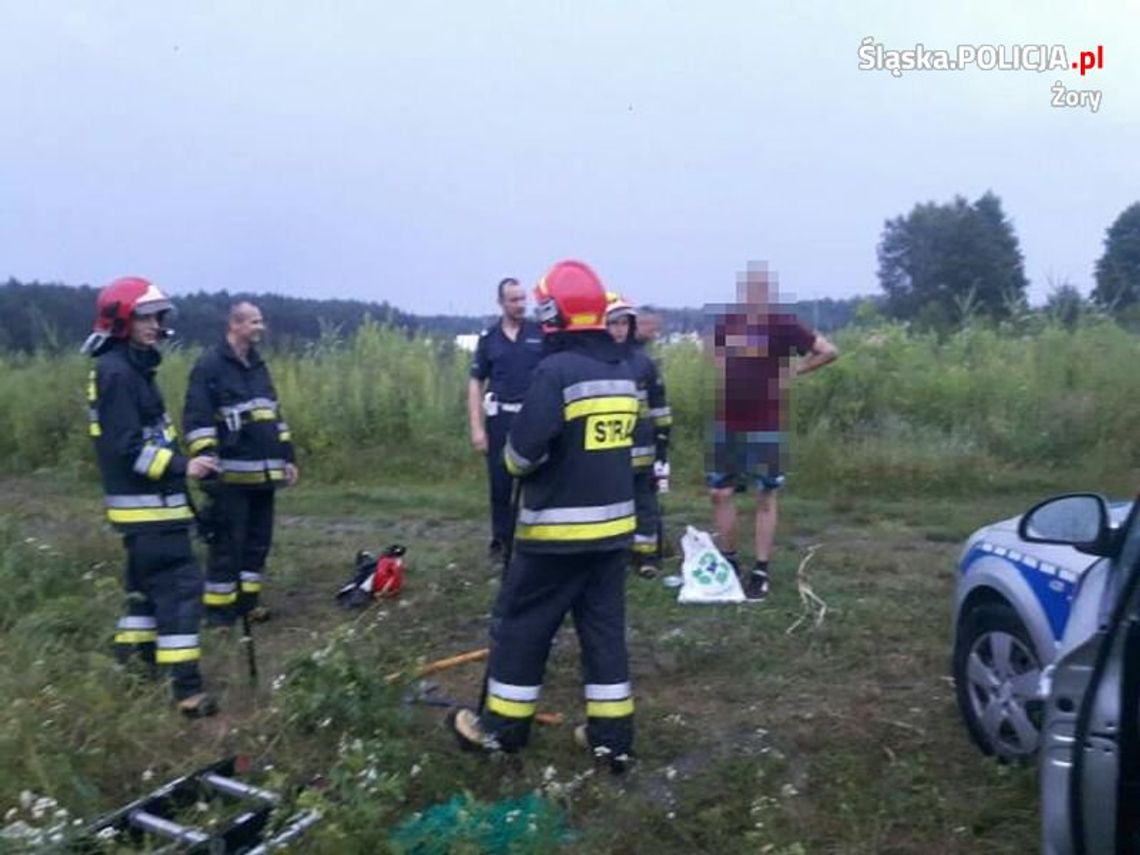 Dziki zaatakowały spacerowicza. Mężczyzna przez ponad 4 godziny siedział na drzewie