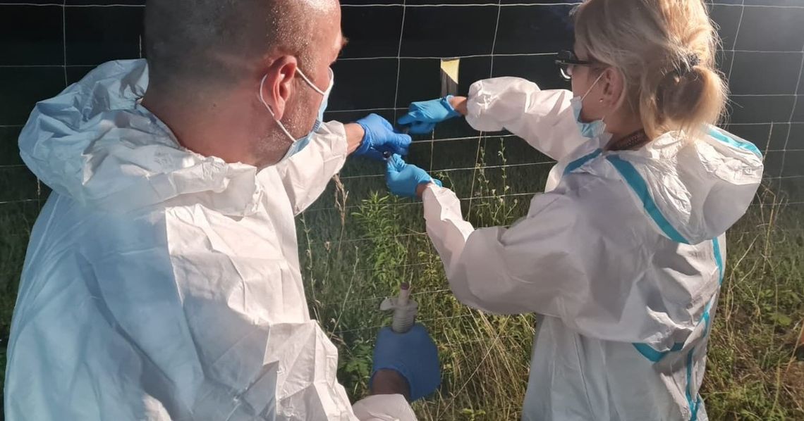 Fabryka narkotyków na poddaszu nowego domu. Zatrzymany chemik i przejęte duże ilości towaru