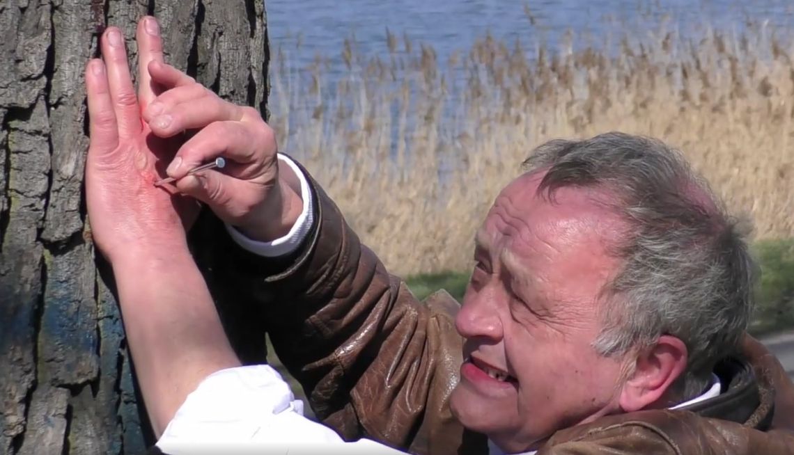 Facet przybił się gwoździem do drzewa w proteście przeciw wycince. Wrzucił filmik, jak to robi. WIDEO