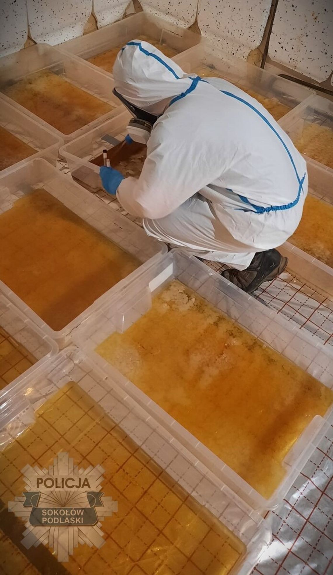 Gigantyczne laboratorium narkotykowe zlikwidowane. Zabezpieczono ponad pół tony narkotyków
