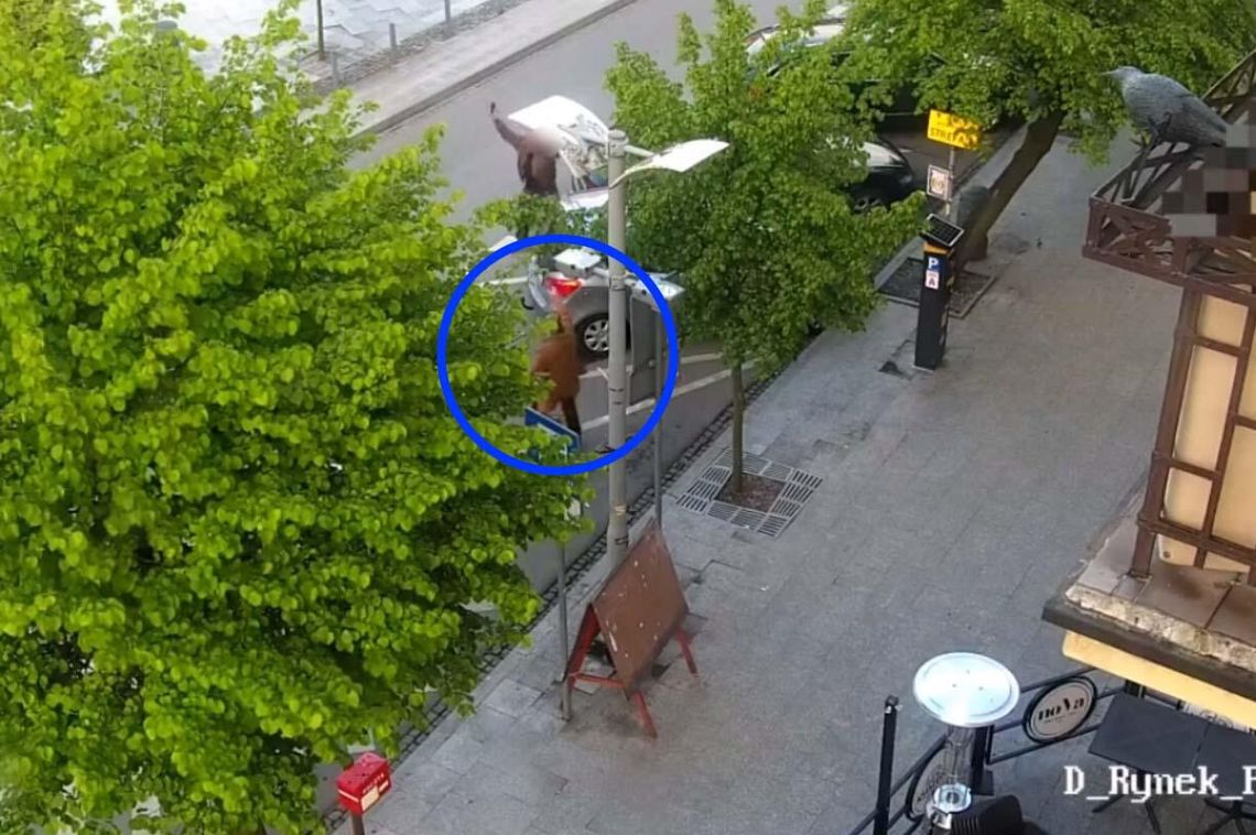 Groził ludziom pistoletem i strzelał na ulicy. Policjanci obezwładnili mężczyznę