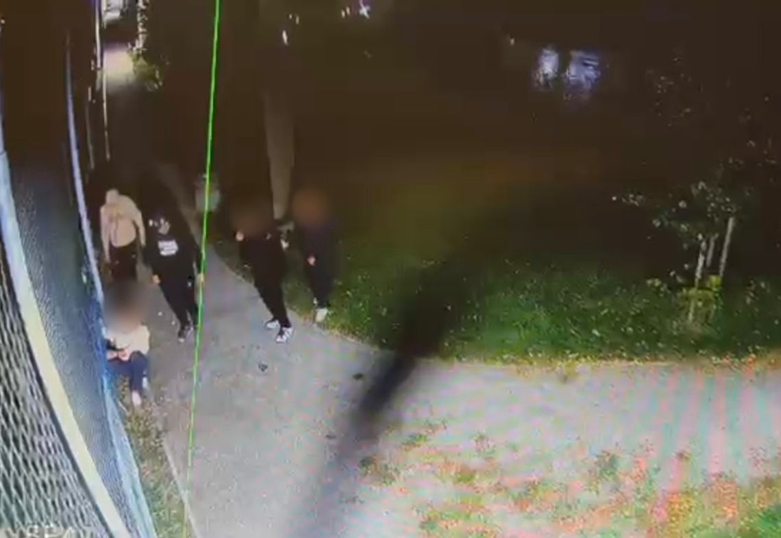 Grupa nastolatków zaatakowała starszych chłopaków w parku. Otoczyli ich i brutalnie pobili