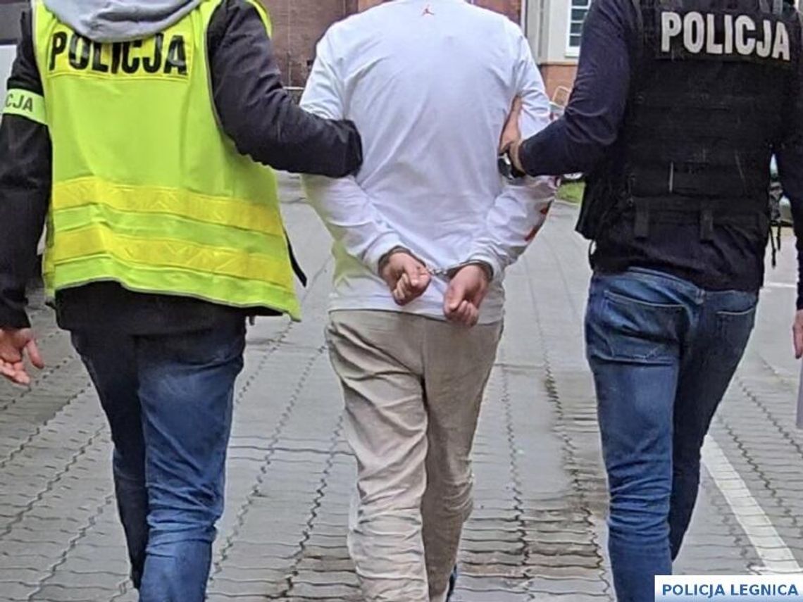 Gruzini zatrzymani za seryjne kradzieże. Jeździli po całej miastach w całej Polsce