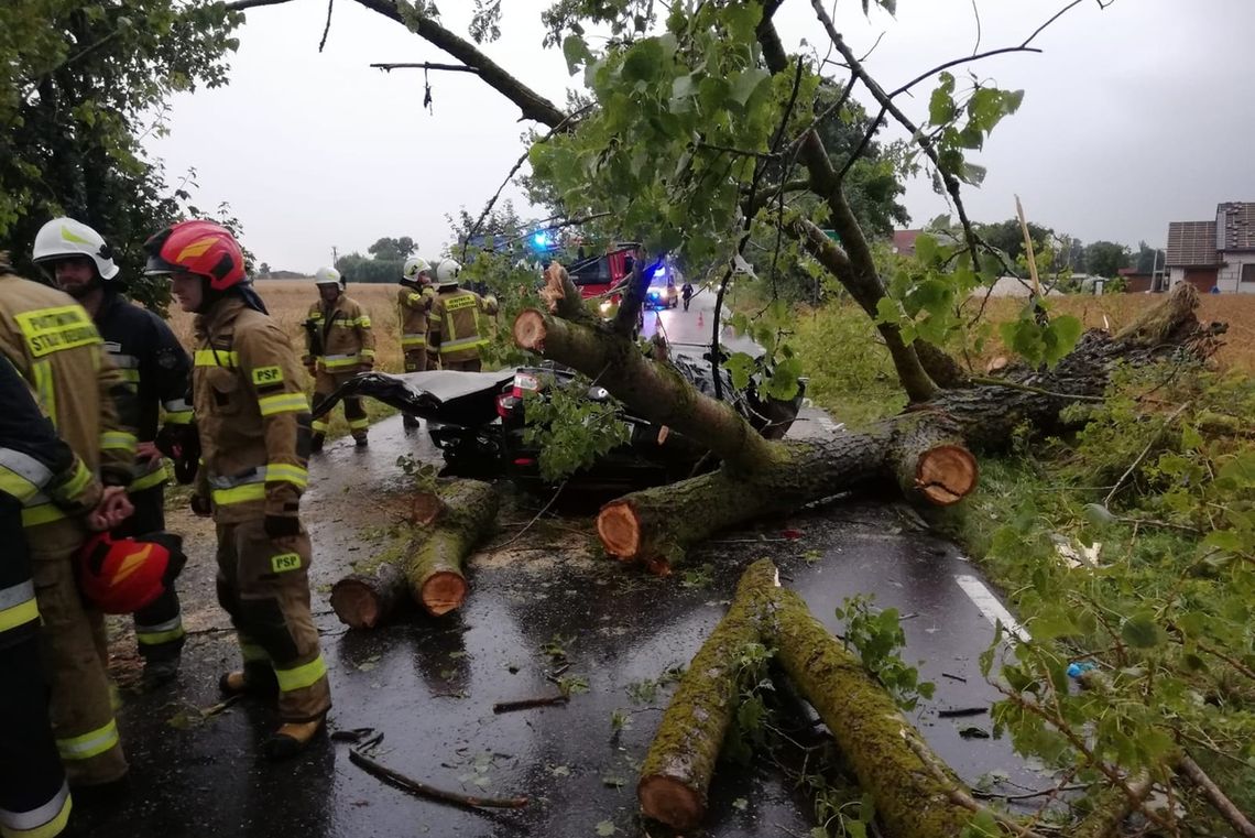 Jechali w czasie burzy, na auto spadł konar drzewa. Zginął 47-letni pasażer, trzy osoby zostały ranne