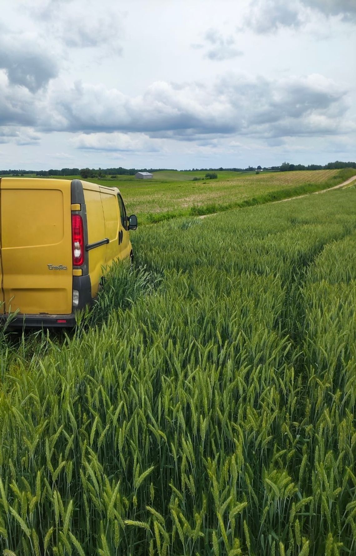 Jeździł busem po polu sąsiada i niszczył uprawę kukurydzy. Chciał zrobić mu na złość