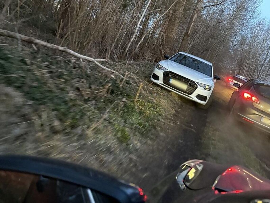 Kibole piłkarscy planowali bijatykę z chuliganką klubu żużlowego. Policjanci zapobiegli ustawce