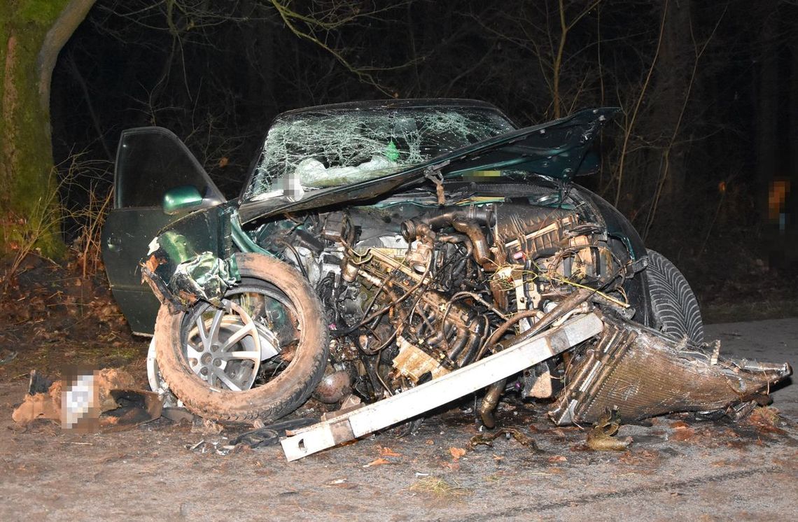 Kierowca audi tłumaczy, że wybiegła mu sarna. 21-latek bez prawa jazdy i jego koleżanka zabrani do szpitala Kierowca audi tłumaczy, że wybiegła mu sarna. 21-latek bez prawa jazdy i jego koleżanka zabrani do szpitala
