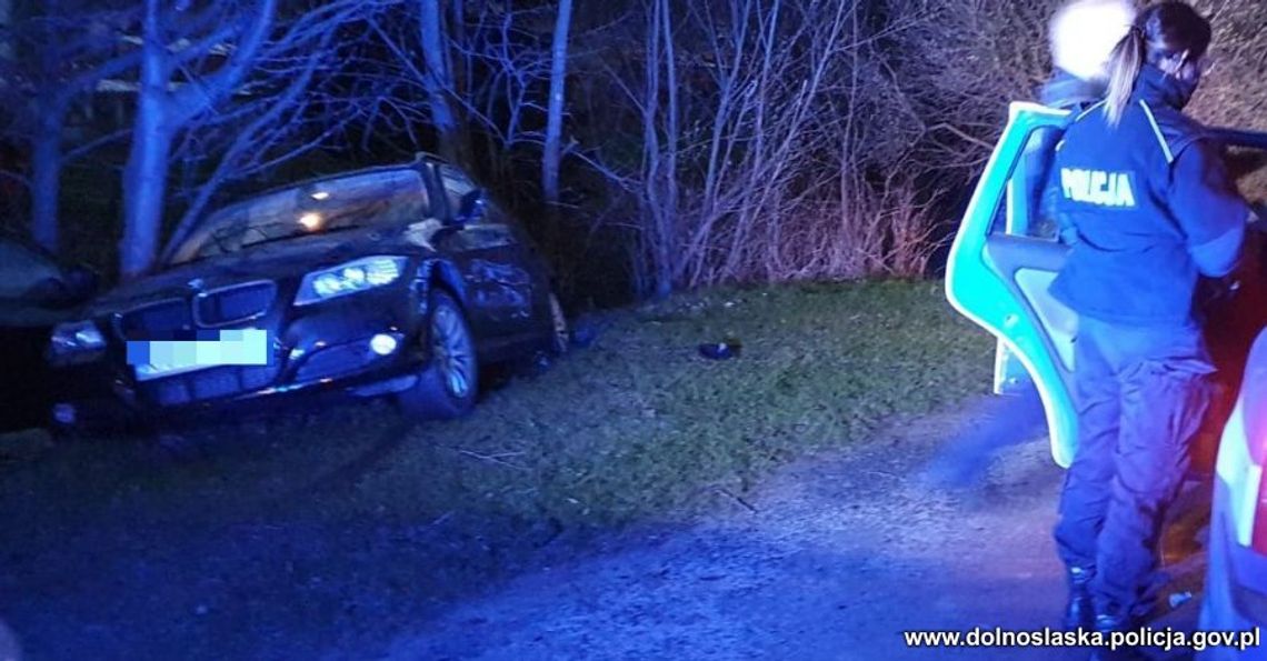 Kierowca BMW potrącił policjantkę. Był pijany, poszukiwany, a w bagażniku wiózł psa