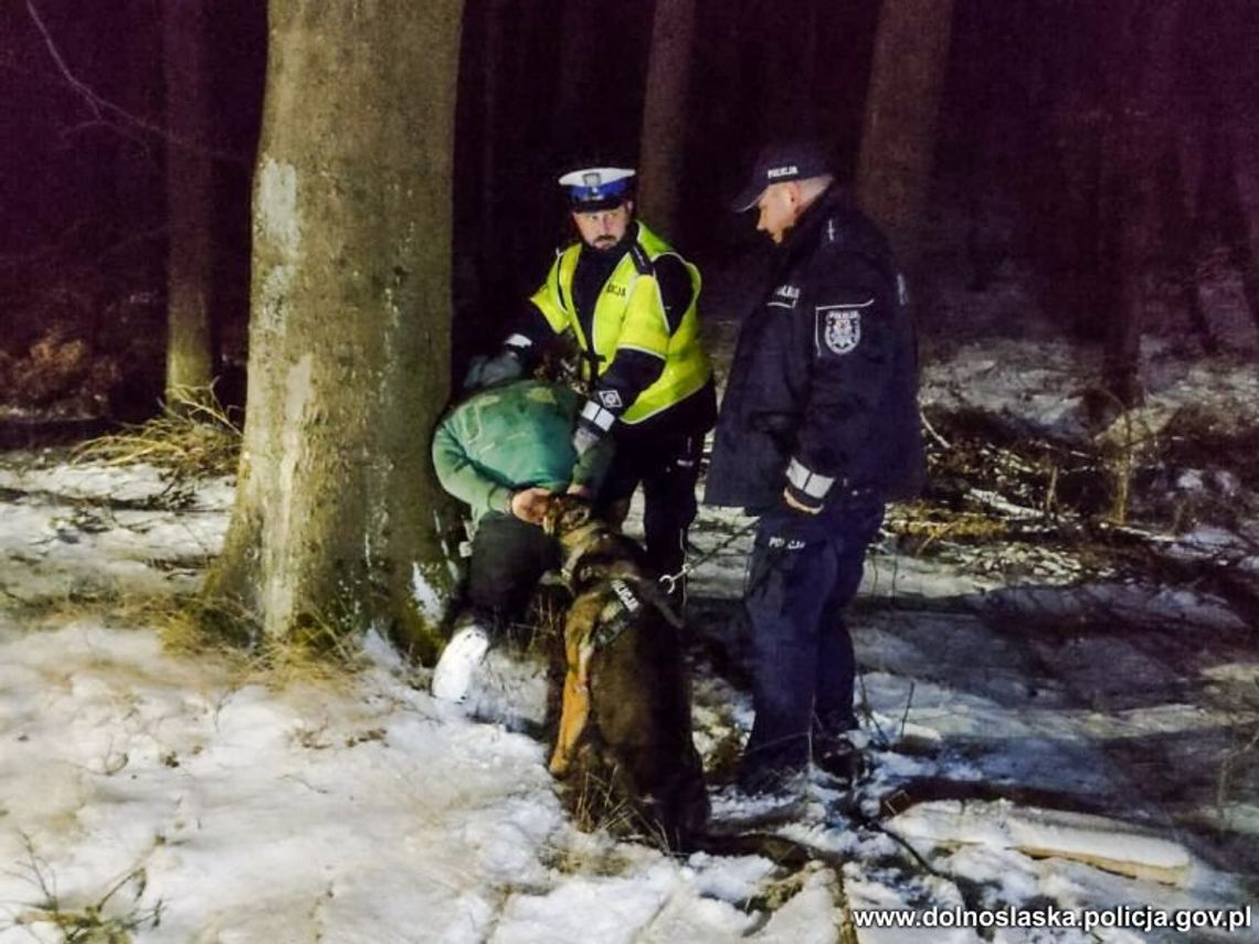 Kierowca passata omal nie potrącił policjanta. Porzucił auto w lesie, wytropił go pies