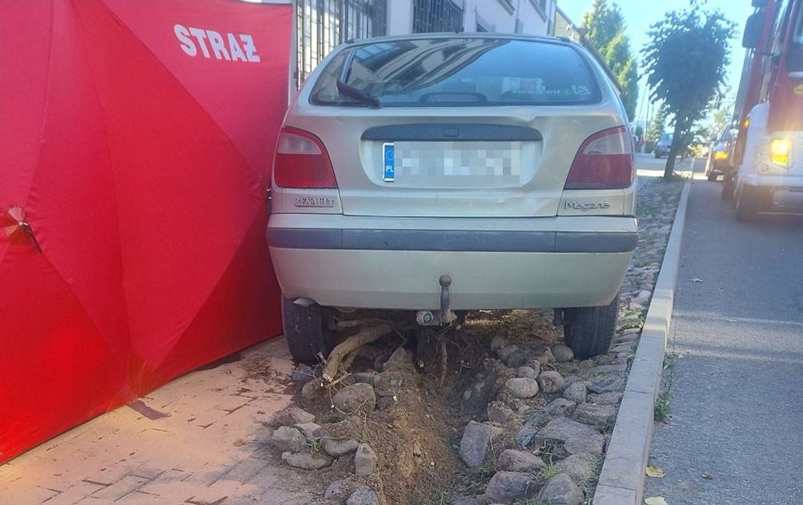 Kierowca renault zjechał z drogi i uderzył w drzewo. Mimo reanimacji nie udało się go uratować