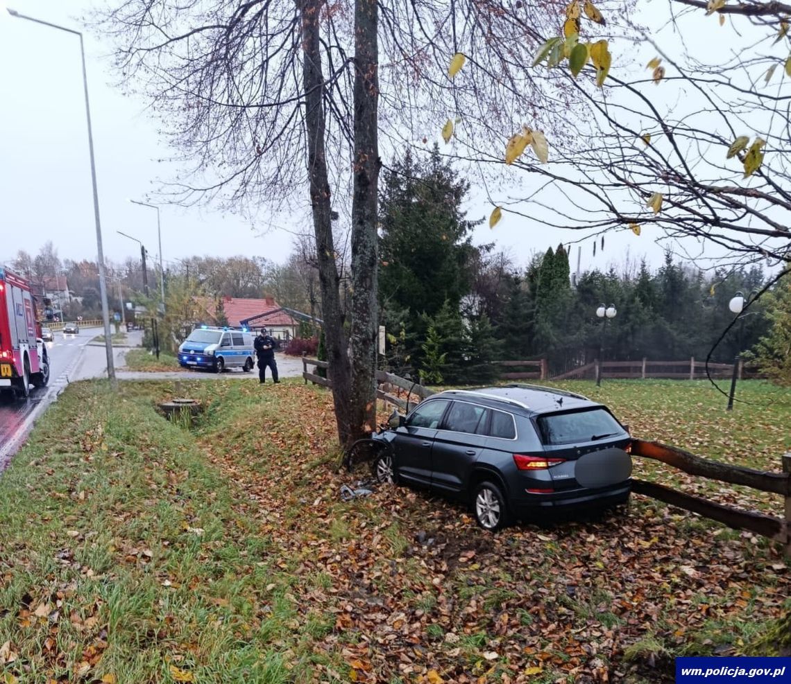 Kierowca skody chciał ominąć łabędzie, które wyszły na drogę. Auto rozbiło się na drzewie Kierowca skody chciał ominąć łabędzie, które wyszły na drogę. Auto rozbiło się na drzewie