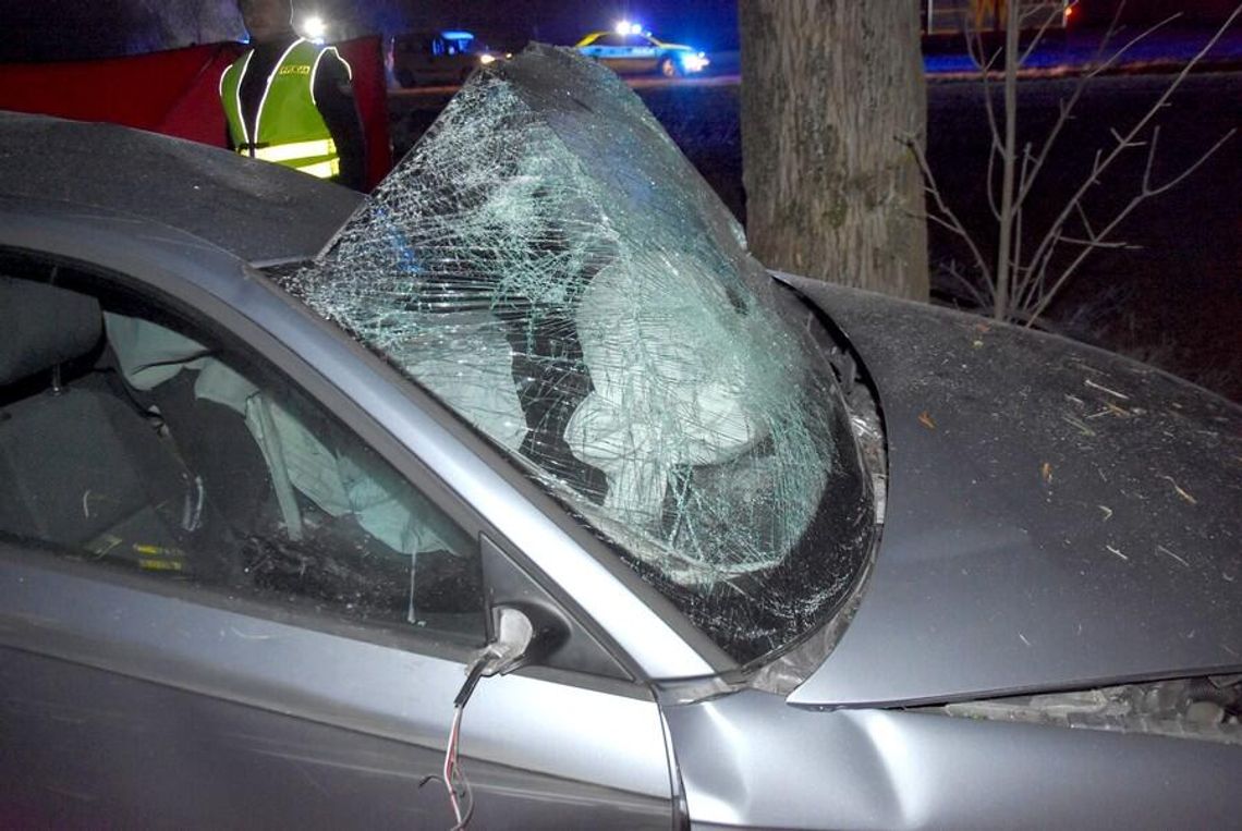 Kierowca z dwoma dożywotnimi zakazami wjechał audi w drzewo. 37-latek zginął na miejscu [FOTO]