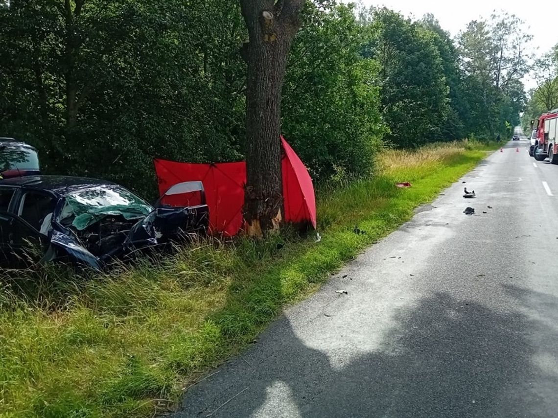 Kierująca volkswagenem na prostej drodze wjechała w drzewo. Kobieta zginęła na miejscu [ZDJĘCIA]