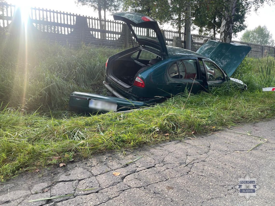 Kierujący seatem z nieznanych przyczyn wjechał w drzewo. 62-latek zginął na miejscu [FOTO]