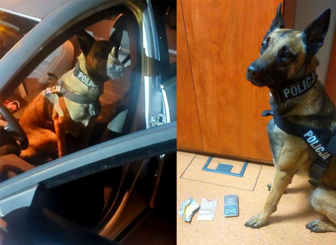 Koledzy wybrali sobie kiepską miejscówkę. W nocy siedzieli z dragami w aucie na pustym parkingu przed marketem