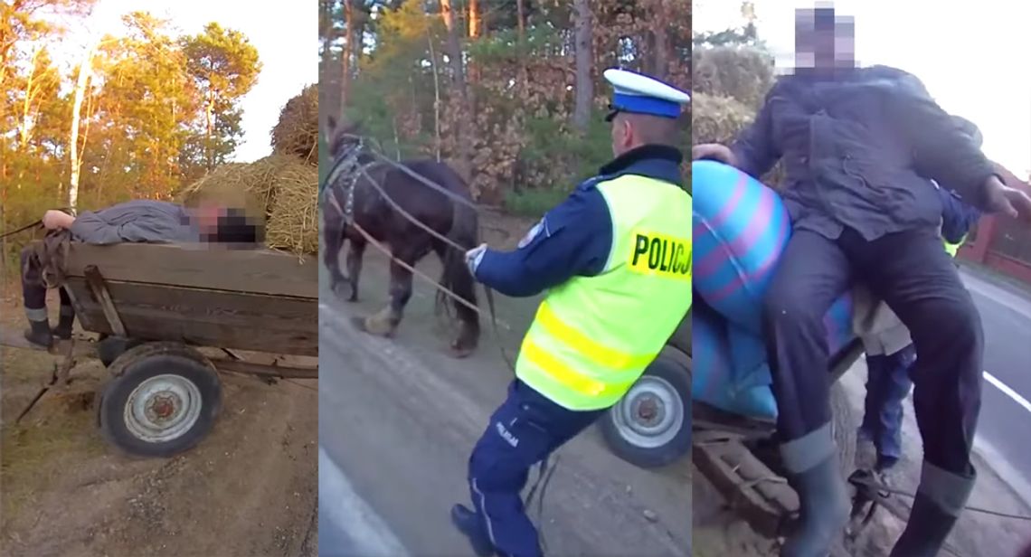 Koń stał, a on smacznie spał na słomie. Woźnicę z 3 promilami odcięło na środku drogi. "O jeju!" WIDEO