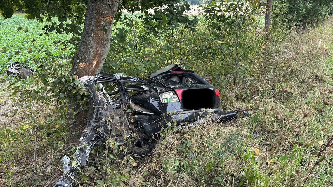 Koszmarny wypadek 23-latka. Młody kierowca zginął po wjechaniu w drzewo, auto kompletnie zmiażdżone