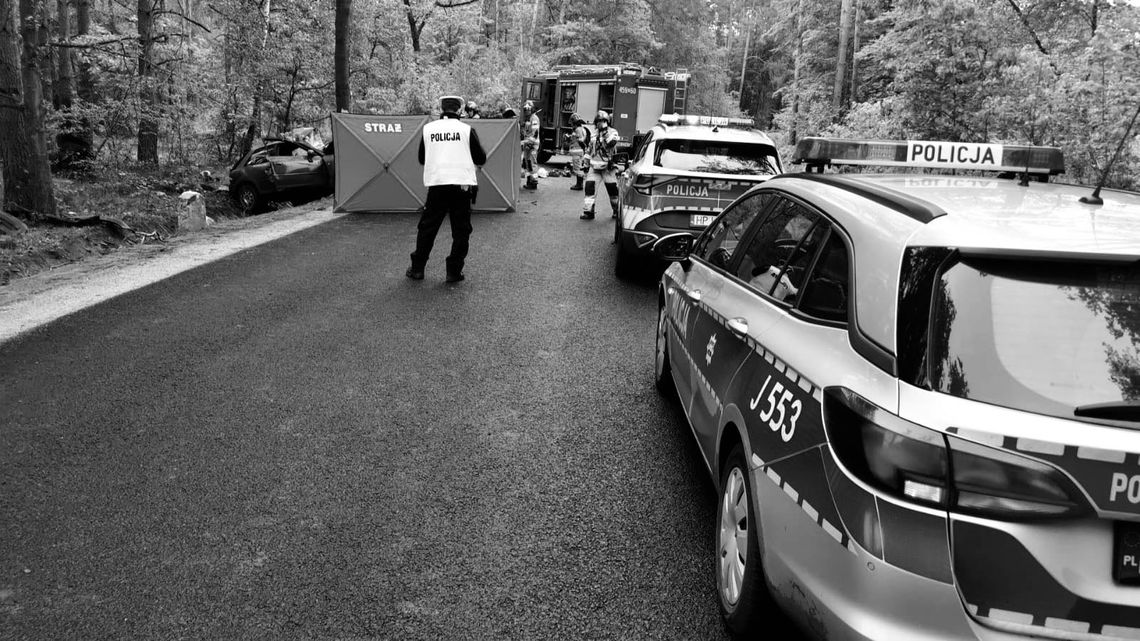 Koszmarny wypadek na Opolszczyźnie. Młody kierowca audi zginął po wjechaniu w drzewo