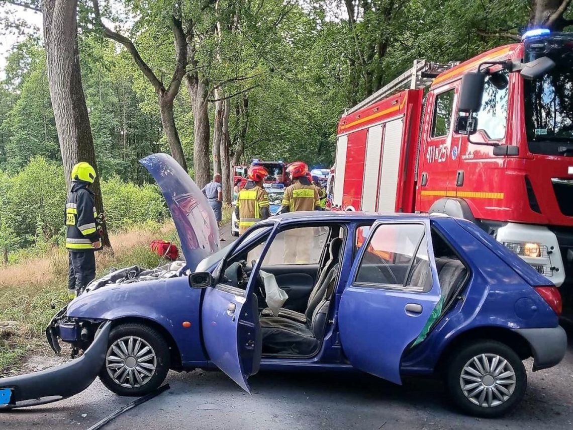 Kot wskoczył na kierowcę w trakcie jazdy, doszło do wypadku. Poszkodowane zostały dwie osoby