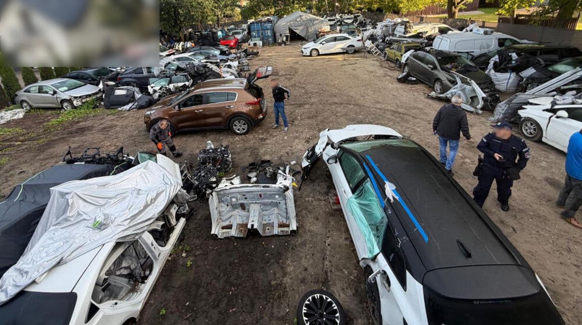Kradli auta i ponownie je legalizowali. Policjanci zabezpieczyli 25 pojazdów i zatrzymali 5 osób Kradli auta i ponownie je legalizowali. Policjanci zabezpieczyli 25 pojazdów i zatrzymali 5 osób