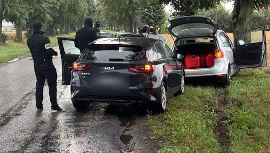 Kradli auta na „walizkę”. Policjanci weszli do dziupli i zatrzymali czterech mężczyzn