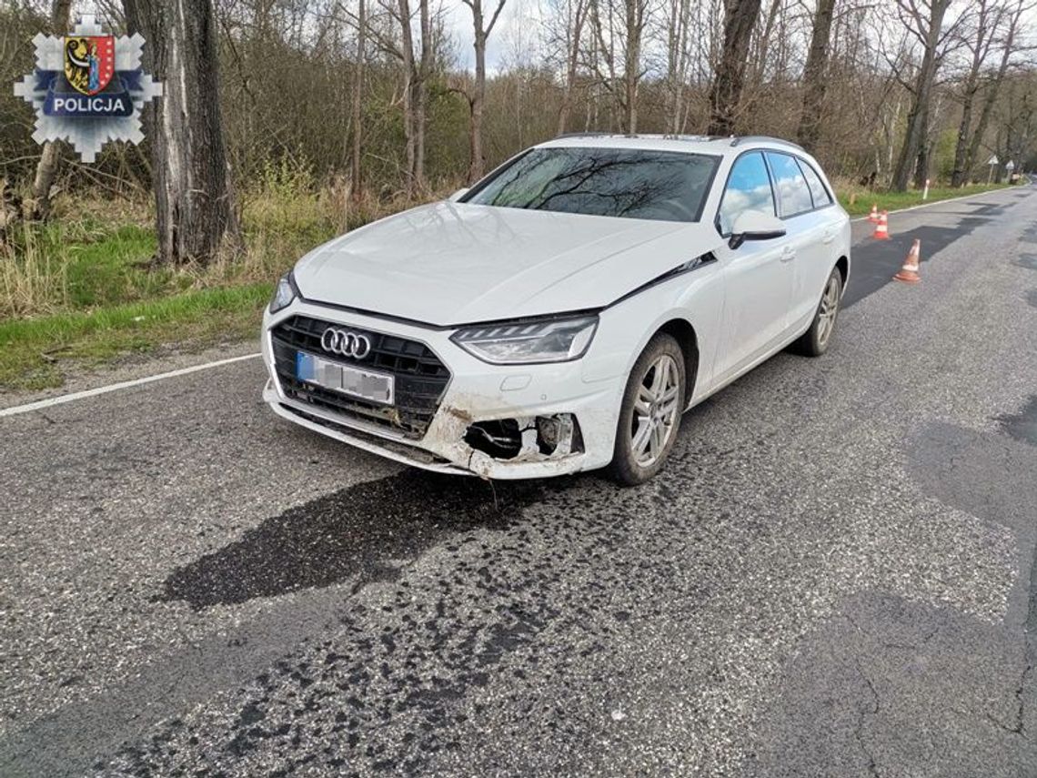 Kradzione audi odnalazło się na wiejskiej drodze. Złodzieje porzucili uszkodzoną furę