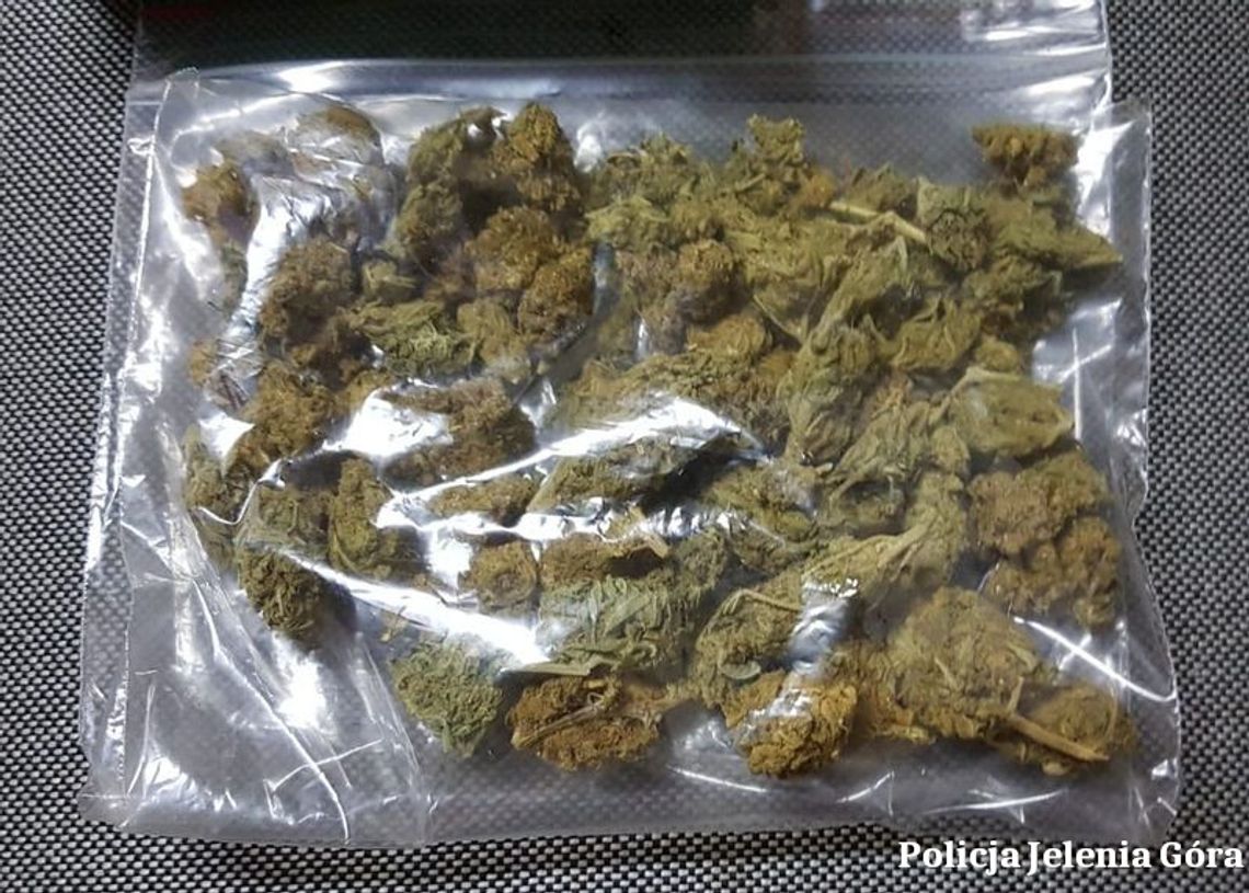Kryminalni ustalili, że 45-latek trzyma marihuanę w domu. Znaleźli ją w pudełku po kapsułkach