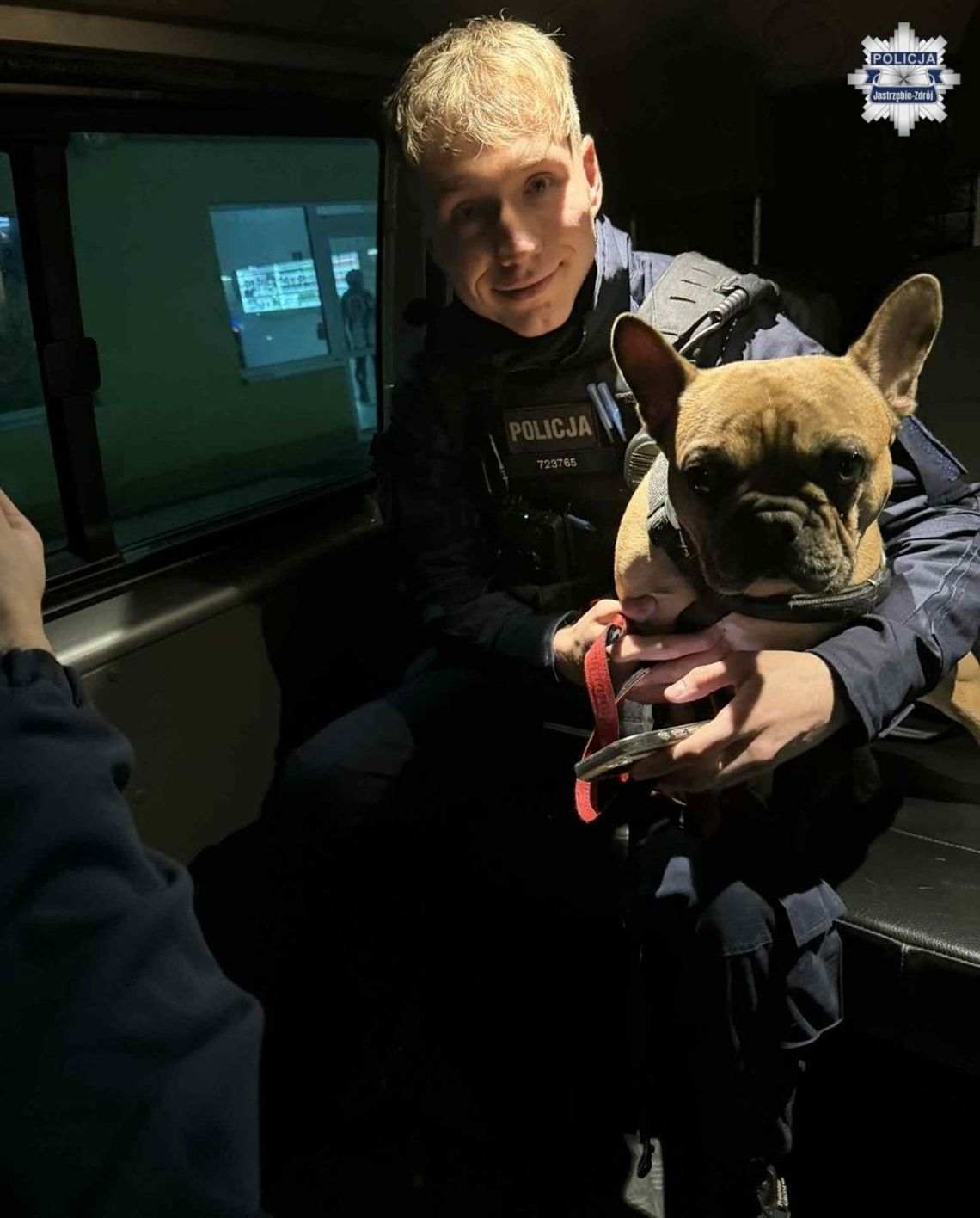 Ktoś przywiązał psa do drzewa i tak zostawił. Zaopiekowali się nim wezwani na miejsce policjanci