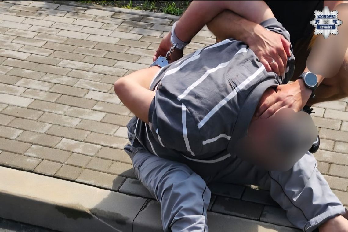 Laboratorium narkotykowe w górskiej chatce. Policjanci zatrzymali dwóch obcokrajowców