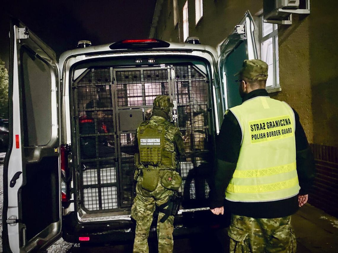 Litwinowi prawie udało się przemycić Afrykańczyków do Niemiec. Został zatrzymany przed granicą