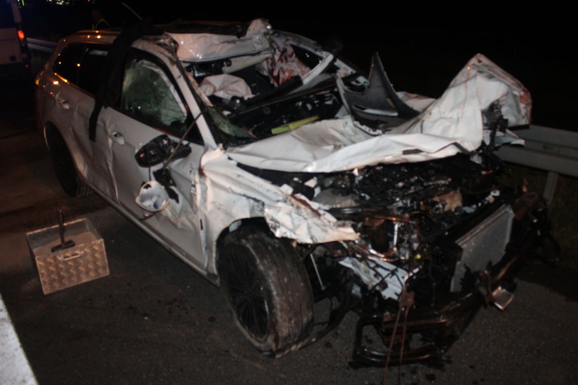 Łoś niemal wskoczył do passata na autostradzie. Doszło do wypadku, osobówka dachowała [FOTO]