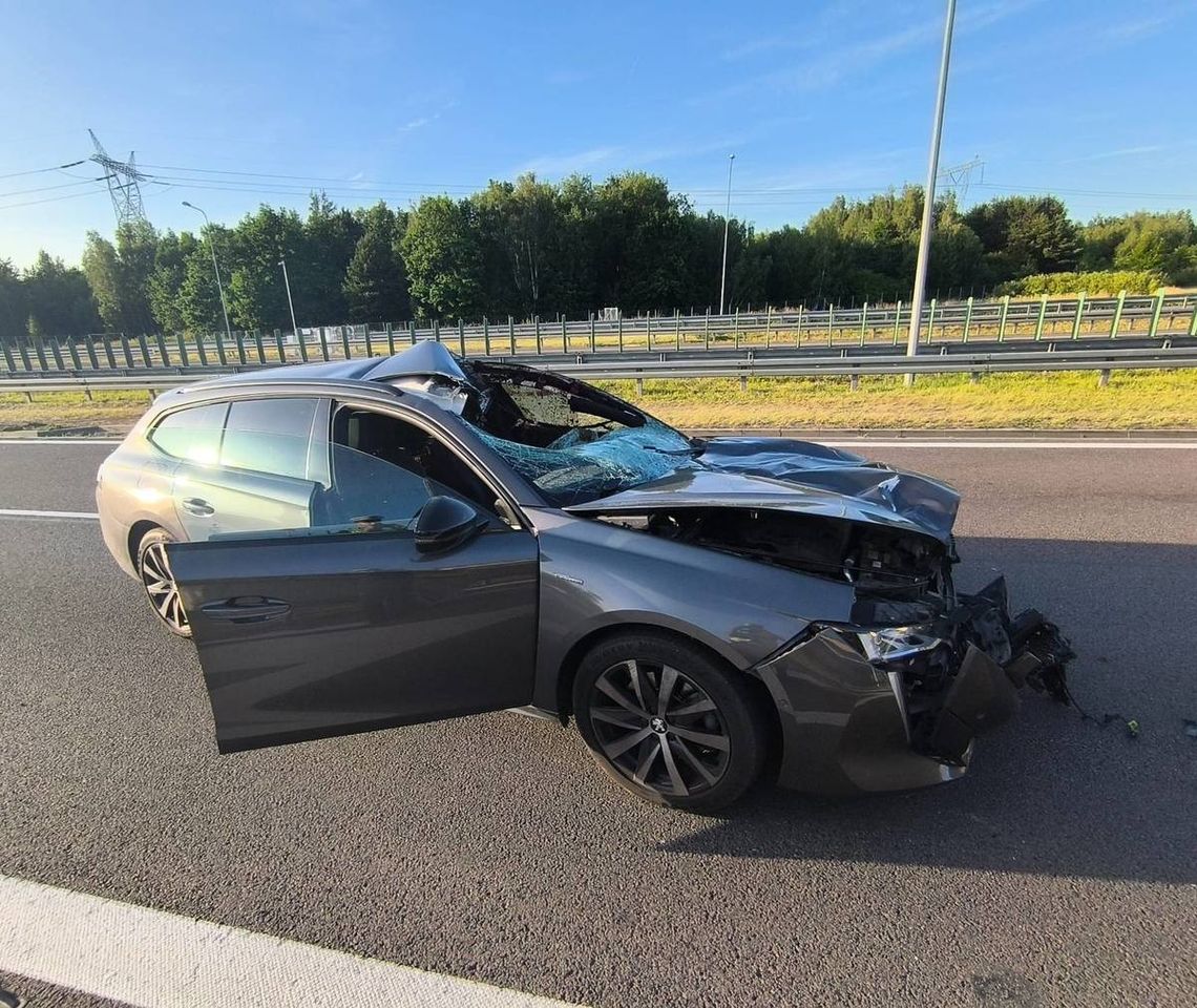 Łoś wbiegł na drogę ekspresową. Kierowca peugeota ciężko ranny po zderzeniu ze zwierzęciem Łoś wbiegł na drogę ekspresową. Kierowca peugeota ciężko ranny po zderzeniu ze zwierzęciem