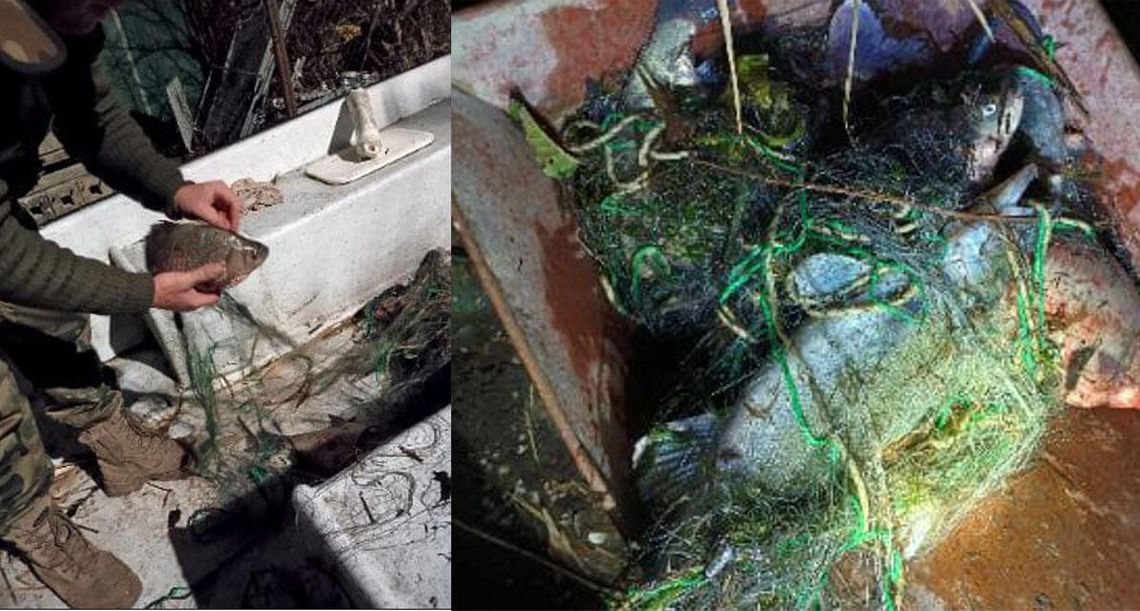 Łowił ryby zabronionymi metodami. Mężczyzna namierzony przez Straż Rybacką i zatrzymany przez policjantów